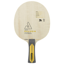 Lauatennise reket JOOLA Tezzo Paladin, ST