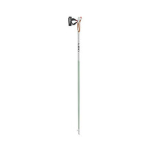Kepikõnni kepid Leki Passion, 120 cm, roheline