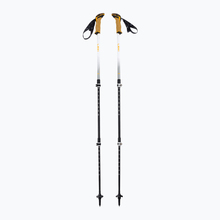 Matkakepid Leki Cressida, 90 - 125 cm, valge
