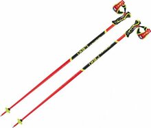 Mäesuusakepid Leki WCR SL 3D, 120 cm