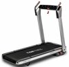 Jooksurada Flow Fitness DTM400i
