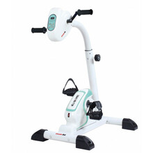 Velotrenažöör EverFit Mini Welly E Combi