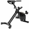 Väike rattatreener VirtuFit Office Bike DB100 LCD