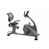 Horisontaalne velotrenažöör Toorx BRX-R95 Comfort