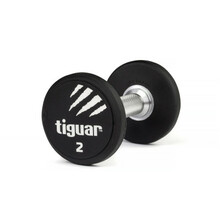 Professionaalne PU hantel Tiguar, 2 kg