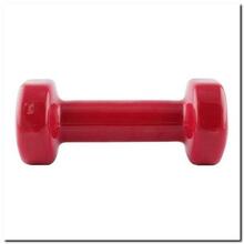 Vinüülkattega hantel HMS, 2 kg, 1 tk