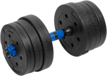 Reguleeritavad bituumenhantlid Rebel Active, 2x10 kg