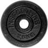 Kettakang raskusketas inSPORTline, 2,5 kg, 30 mm