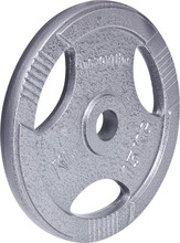Terasest ketas inSPORTline Hamerton, 15 kg