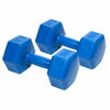 Hantlite komplekt Eb Fit, 2x4 kg, hall