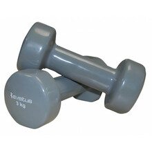 Vinüülkattega hantlid Sveltus, 2x3 kg, hall