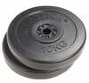 Ketasraskus Gymstick Vinyl, 2 x 10 kg