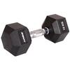 Hantlid Enero Fit, 10 kg
