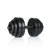 Reguleeritav hantel Gymstick, 15 kg, 1 tk