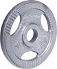 Terasest ketas inSPORTline Hamerton, 5 kg, 30 mm