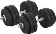 Hantlite komplekt Homcom, 30 kg