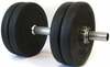 Kokkupandav hantel Tomaz Sport Start, 12,5 kg