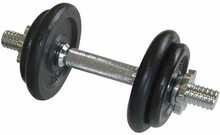 Hantlite komplekt Schildkrot SF FIT, 10 kg