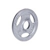 Terasest ketas inSPORTline Hamerton, 1,25 kg, 30 mm