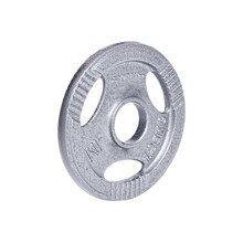 Terasest ketas inSPORTline Hamerton, 1,25 kg, 30 mm
