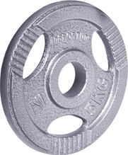 Terasest ketasraskus inSPORTline Hamerton, 5 kg, 50 mm