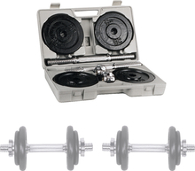 Hantlite komplekt inSPORTline, teras, 20 kg