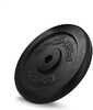 Raskusketas Spokey Sinis H, 5 kg, 31,5 mm, sinine