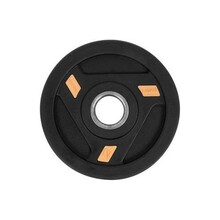 Kettakumm inSPORTLINE Herk, 1,25 kg, kummiga kaetud, 30 mm