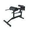 Treeningpink Tunturi GH10 Glute Ham Developer