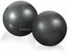 Svorpallid Gymstick Exercise Weight Ball, 2x1 kg