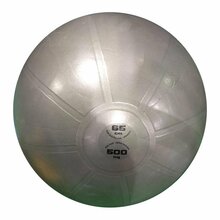 Võimlemispall Toorx Pro AHF-148, 65 cm, hall