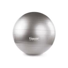 Võimlemispall Tiguar Safety Plus, 65 cm, hall