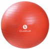 Võimlemispall Sveltus 0496, 55 cm, oranž