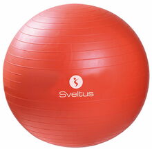 Võimlemispall Sveltus 0496, 55 cm, oranž