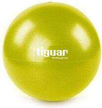 Võimlemispall Tiguar Easy Ball TI-PEB026, 25 cm