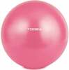 Võimlemispall Toorx AHF-0069, 55 cm, roosa