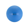 Kaalutud pall Gymnic Heavymed, 3 kg, sinine