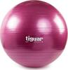 Võimlemispall Tiguar Safety Plus, 65 cm