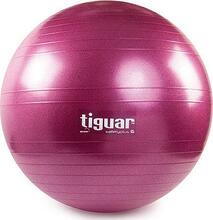 Võimlemispall Tiguar Safety Plus, 65 cm