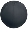 Istumispall Leitz Ergo, 75 cm, tumehall