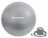 Võimlemispall Schildkrot Fitness Gymnastic Ball 960155, 55 cm, hõbe