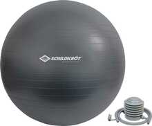 Võimlemispall Schildkrot Fitness Gymnastic Ball 960157, 75 cm, hall
