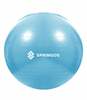 Võimlemispall Springos FB0006, 55 cm, sinine