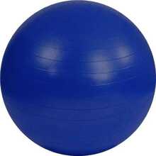 Võimlemispall Sportech, 75 cm, sinine