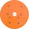 Graatsiaketas Insportline Twister Magnetic, 25 cm