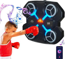 Elektrooniline poksisein RoGer BOX2, Bluetooth ja RGB valgustusega