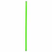 Võimlemiskepp NO10 SPR-25120, 120 cm, roheline