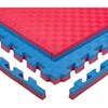 Tatami Puzzle Mat inSPORTline Malmeida, 100 x 100 x 4 cm