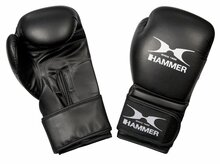 Poksikindad Hammer Premium Training, 8 oz, valge/must
