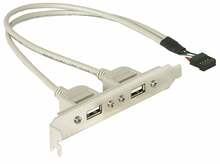 USB adapter Delock 2x USB 2.0 A female, 10 pin internal, hall, 0.3 m
